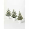 Best deal 🤩 Sullivans Potted Pine Artificial Tree - Set Of 3 - 5"L X 5"W X 12"H 🛒 2 Best deal 🤩 Sullivans Potted Pine Artificial Tree - Set Of 3 - 5"L X 5"W X 12"H 🛒 -Sullivans Sales unnamed file 3271