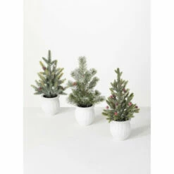 Best deal 🤩 Sullivans Potted Pine Artificial Tree - Set Of 3 - 5"L X 5"W X 12"H 🛒