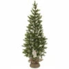 Deals 🌟 Sullivans 4'2H Pine Tree ✨ -Sullivans Sales unnamed file 328