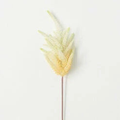 Best Pirce ❤️ Sullivans Artificial Ivory-Colored Pluming Astilbe ✔️