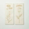 New 🛒 Sullivans Gold-Brushed Botanical Panels - Set Of 2 🎉 -Sullivans Sales unnamed file 3369
