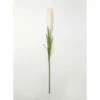Hot Sale 🛒 Sullivans Pampas Grass Stem - Cream/Chocolate 👍