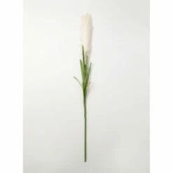 Hot Sale 🛒 Sullivans Pampas Grass Stem - Cream/Chocolate 👍