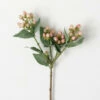 Deals โค๏ธ Sullivans Artificial Pink Hypericum Stem ๐คฉ 1 Deals โค๏ธ Sullivans Artificial Pink Hypericum Stem ๐คฉ -Sullivans Sales unnamed file 3404