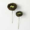 Best Pirce ⌛ Sullivans 10 In. And 10.5 In. Natural Nest Picks With Eggs - Set Of 2; Brown 🔔