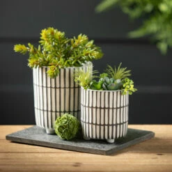 Best Sale ✨ Sullivans 6 In. And 4.5 In. Ridge Texture Footed Planters - Set Of 2; White ✨ 8 Best Sale ✨ Sullivans 6 In. And 4.5 In. Ridge Texture Footed Planters - Set Of 2; White ✨ -Sullivans Sales unnamed file 3440