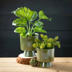 Budget 🎁 Sullivans 6 In. And 5 In. Modern Platform Planter - Set Of 2; Green 🤩 -Sullivans Sales unnamed file 3444