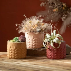 New 😉 Sullivans 5.75 In Modern Leaf Desert Toned Pots - Set Of 3; Multicolor Green 🌟 -Sullivans Sales unnamed file 3488