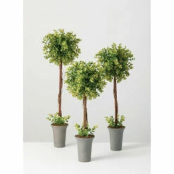 Cheapest ๐ฅฐ Sullivans New England Boxwood Topiary - Set Of 3 - Multi Colored ๐ฅ