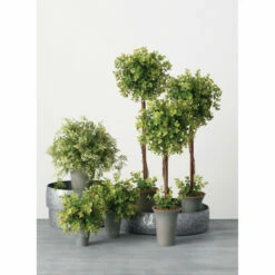 Cheapest 🥰 Sullivans New England Boxwood Topiary - Set Of 3 - Multi Colored 🔥 -Sullivans Sales unnamed file 3506