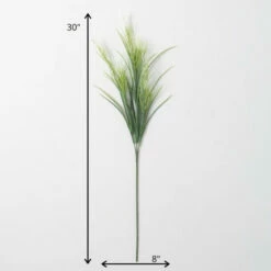 Best deal 🤩 Sullivans Artificial Fox Tail Sprouting Grass Stem ✔️ -Sullivans Sales unnamed file 3524