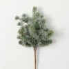Best reviews of 🔔 Sullivans 19" Artificial Iced Pine Pick Bush ❤️ -Sullivans Sales unnamed file 3533
