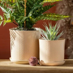 Deals 🌟 Sullivans 8 In. And 6 In. Contemporary Peach Saucer Pot - Set Of 2 🔔 -Sullivans Sales unnamed file 3559