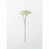 Wholesale ⭐ Sullivans Baby's Breath Stem - 5.5"L X 3"W X 25.25"H 💯 -Sullivans Sales unnamed file 3599