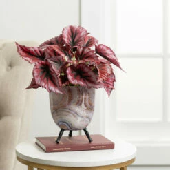 Buy 😀 Sullivans Marbleized Deco Footed Planter - Set Of 2 ❤️ 8 Buy 😀 Sullivans Marbleized Deco Footed Planter - Set Of 2 ❤️ -Sullivans Sales unnamed file 3612