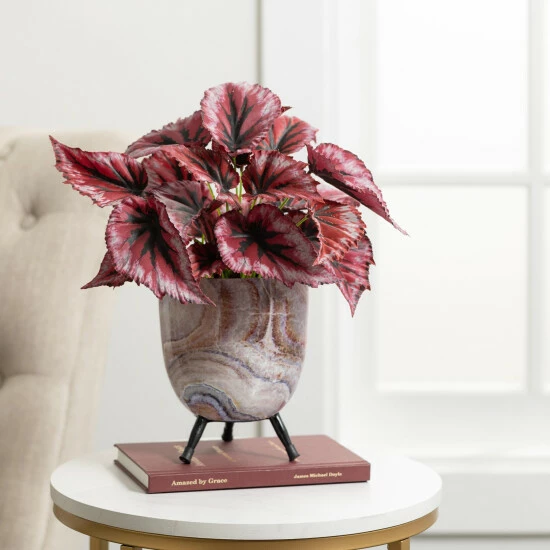 Buy 😀 Sullivans Marbleized Deco Footed Planter - Set Of 2 ❤️ 5 Buy 😀 Sullivans Marbleized Deco Footed Planter - Set Of 2 ❤️ - Image 3