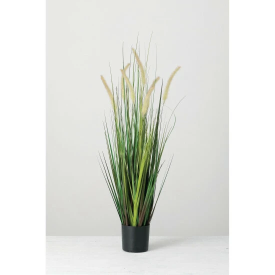 Wholesale ๐ Sullivans Potted ๐ฆฎ Dogtail Grass - Green ๐ 3 Wholesale ๐ Sullivans Potted ๐ฆฎ Dogtail Grass - Green ๐