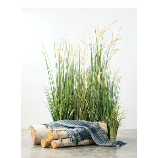 Wholesale ๐ Sullivans Potted ๐ฆฎ Dogtail Grass - Green ๐ 6 Wholesale ๐ Sullivans Potted ๐ฆฎ Dogtail Grass - Green ๐ - Image 4