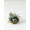 Cheapest ๐ Sullivans Lavender Nest - Purple ๐ 1 Cheapest ๐ Sullivans Lavender Nest - Purple ๐ -Sullivans Sales unnamed file 3618
