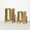 New ๐ Sullivans Brass Planter Pair On Stands - Set Of 2 ๐ฅฐ 2 New ๐ Sullivans Brass Planter Pair On Stands - Set Of 2 ๐ฅฐ -Sullivans Sales unnamed file 3656