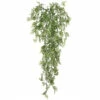 New ๐ Sullivans Wisteria Mini Vine ๐ 2 New ๐ Sullivans Wisteria Mini Vine ๐ -Sullivans Sales unnamed file 3660