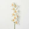 Brand new 👍 Sullivans Artificial White Cymbidium Orchid Stem ✔️ -Sullivans Sales unnamed file 3665