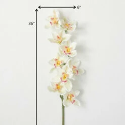 Brand new ๐ Sullivans Artificial White Cymbidium Orchid Stem โ๏ธ 7 Brand new ๐ Sullivans Artificial White Cymbidium Orchid Stem โ๏ธ -Sullivans Sales unnamed file 3667