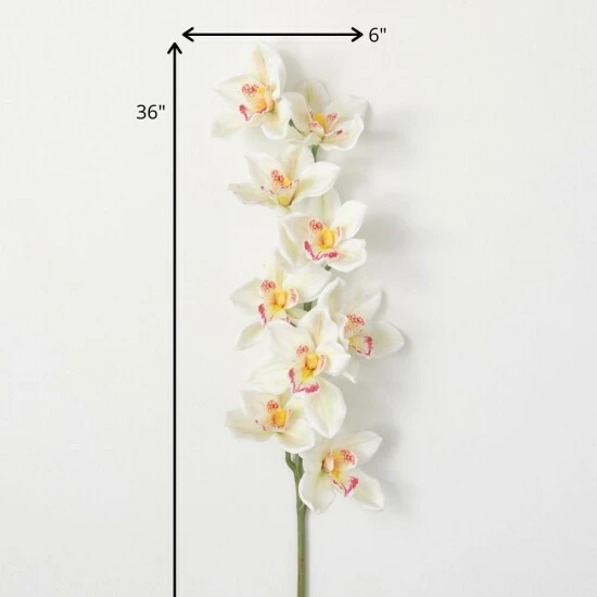 Brand new ๐ Sullivans Artificial White Cymbidium Orchid Stem โ๏ธ 5 Brand new ๐ Sullivans Artificial White Cymbidium Orchid Stem โ๏ธ - Image 3