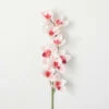 Best deal 🎉 Sullivans Artificial Pink Cymbidium Orchid Stem ❤️ -Sullivans Sales unnamed file 3689