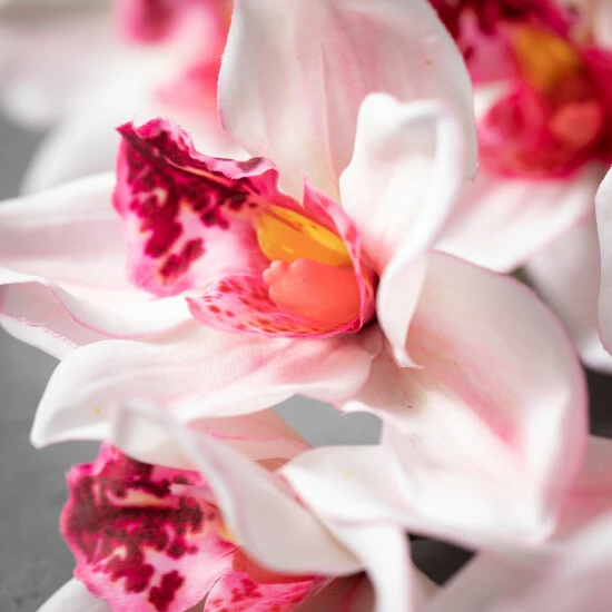 Best deal ๐ Sullivans Artificial Pink Cymbidium Orchid Stem โค๏ธ 4 Best deal ๐ Sullivans Artificial Pink Cymbidium Orchid Stem โค๏ธ - Image 2