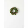 Hot Sale 🤩 Sullivans 10" Boxwood & Berry Artificial Mini Wreath ✔️ -Sullivans Sales unnamed file 3704