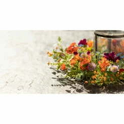 Coupon ๐ Sullivans Dahlia Mix Wreath ๐ฅ 6 Coupon ๐ Sullivans Dahlia Mix Wreath ๐ฅ -Sullivans Sales unnamed file 3708