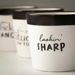 Best Sale 😀 Sullivans Ceramic Pun Text Planter - Set Of 3 - 5.25"L X 5.25"W X 4.5"H 🛒 9 Best Sale 😀 Sullivans Ceramic Pun Text Planter - Set Of 3 - 5.25"L X 5.25"W X 4.5"H 🛒 -Sullivans Sales unnamed file 3754