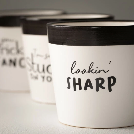 Best Sale 😀 Sullivans Ceramic Pun Text Planter - Set Of 3 - 5.25"L X 5.25"W X 4.5"H 🛒 4 Best Sale 😀 Sullivans Ceramic Pun Text Planter - Set Of 3 - 5.25"L X 5.25"W X 4.5"H 🛒 - Image 2