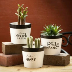 Best Sale 😀 Sullivans Ceramic Pun Text Planter - Set Of 3 - 5.25"L X 5.25"W X 4.5"H 🛒 11 Best Sale 😀 Sullivans Ceramic Pun Text Planter - Set Of 3 - 5.25"L X 5.25"W X 4.5"H 🛒 -Sullivans Sales unnamed file 3756
