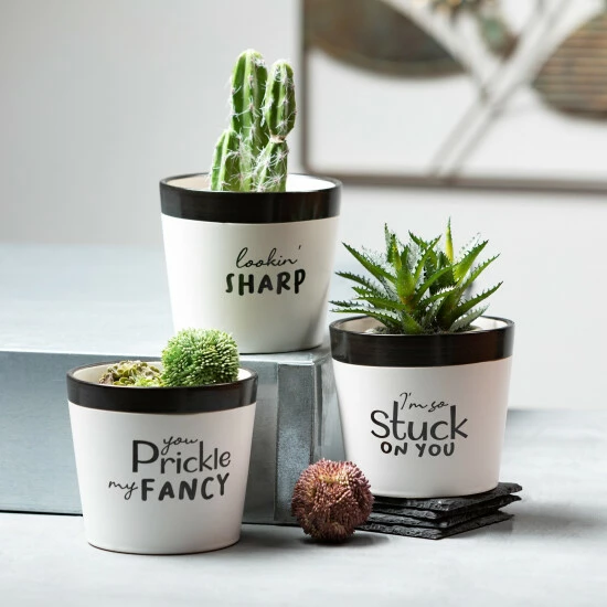 Best Sale 😀 Sullivans Ceramic Pun Text Planter - Set Of 3 - 5.25"L X 5.25"W X 4.5"H 🛒 7 Best Sale 😀 Sullivans Ceramic Pun Text Planter - Set Of 3 - 5.25"L X 5.25"W X 4.5"H 🛒 - Image 5