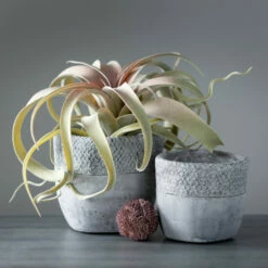 Cheap 🌟 Sullivans Cement Pot - Set Of 2 🧨 -Sullivans Sales unnamed file 3768