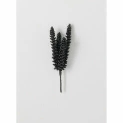 New 🌟 Sullivans Succulent Pick 🤩