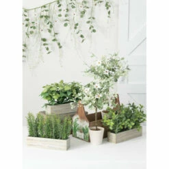 Budget 👏 Sullivans Daisy Eucalyptus Swag - Green 💯 -Sullivans Sales unnamed file 3774