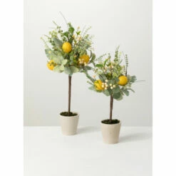 Best reviews of 🎁 Sullivans Herb Lemon Topriary Set 2 👏