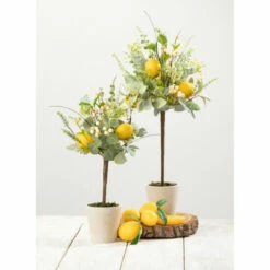 Best reviews of 🎁 Sullivans Herb Lemon Topriary Set 2 👏 -Sullivans Sales unnamed file 399