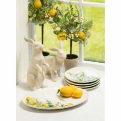 Best reviews of 🎁 Sullivans Herb Lemon Topriary Set 2 👏 -Sullivans Sales unnamed file 400