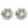 Deals 🎉 Sullivans 24" Artificial Flocked Pine Wreath - Set Of 2 😀
