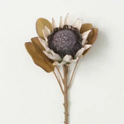Top 10 👍 Sullivans Artificial Alabaster Faux Dried Protea 🎁
