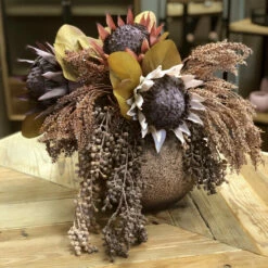 Top 10 👍 Sullivans Artificial Alabaster Faux Dried Protea 🎁 -Sullivans Sales unnamed file 4031