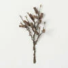 Coupon 🤩 Sullivans Artificial Faux Dried Branch With Pods 🎁 -Sullivans Sales unnamed file 4041