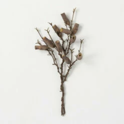 Coupon ๐คฉ Sullivans Artificial Faux Dried Branch With Pods ๐