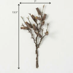 Coupon 🤩 Sullivans Artificial Faux Dried Branch With Pods 🎁 -Sullivans Sales unnamed file 4043