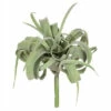 Flash Sale 👏 Sullivans Air Plant - Green 👍