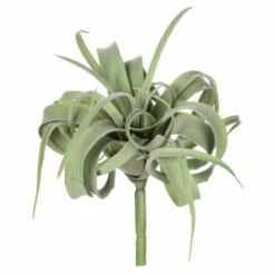 Flash Sale 👏 Sullivans Air Plant - Green 👍